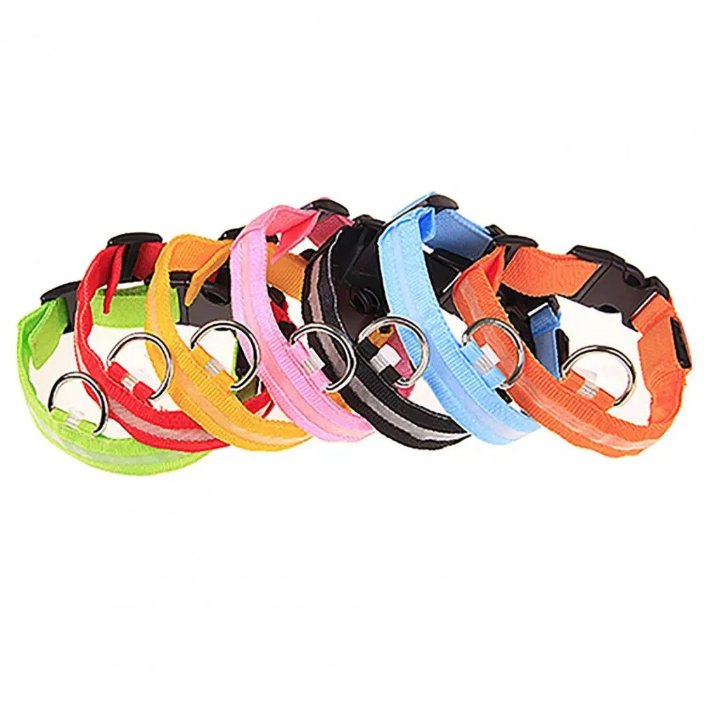 "LumiPet – Collar LED para Caminatas Nocturnas"