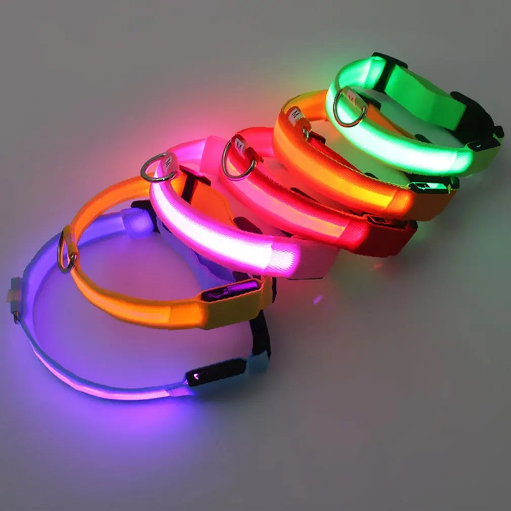 "LumiPet – Collar LED para Caminatas Nocturnas"