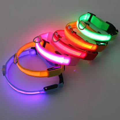 "LumiPet – Collar LED para Caminatas Nocturnas"