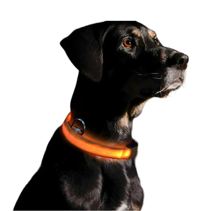 "LumiPet – Collar LED para Caminatas Nocturnas"